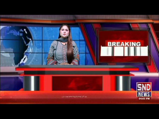 Daily Bulletin March 10 , 2025